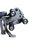 BodyCraft Elite Multistation