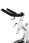 Kenny-Joyce Vortec 830b Indoor Cycle Wit