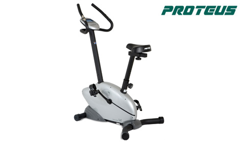 Proteus Dolphin V6 Hometrainer